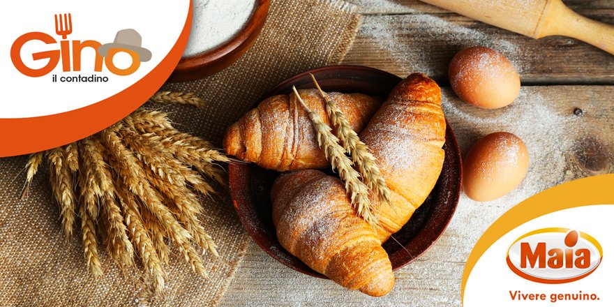 MaiaUova's tweet photo. Per Sant'Urbano il frumento è fatto #grano.
#25maggio #proverbio #Ginoinsegna #GinoilContadino #leuovaMaia https://t.co/o0yXfg7NAh