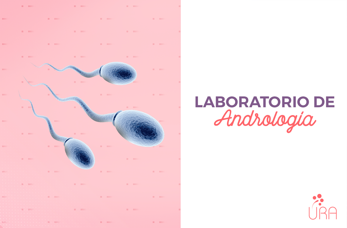 URAClinica's tweet photo. Contamos con Laboratorio de Andrología para realizar:
· Estudio del Semen.
· Capacitación Espermática. https://t.co/izMZUZot5c