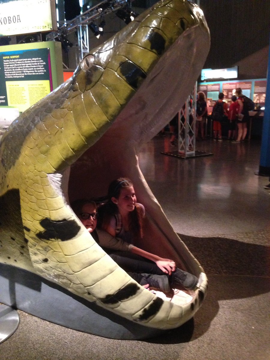 Mspurinton's tweet photo. Science centre #weirdsciencegr5 @WestBayfield @vandermolen219 @Mspurinton https://t.co/aF3eojTFsc