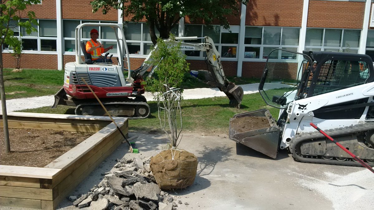 New greenery going in today. Looking good!