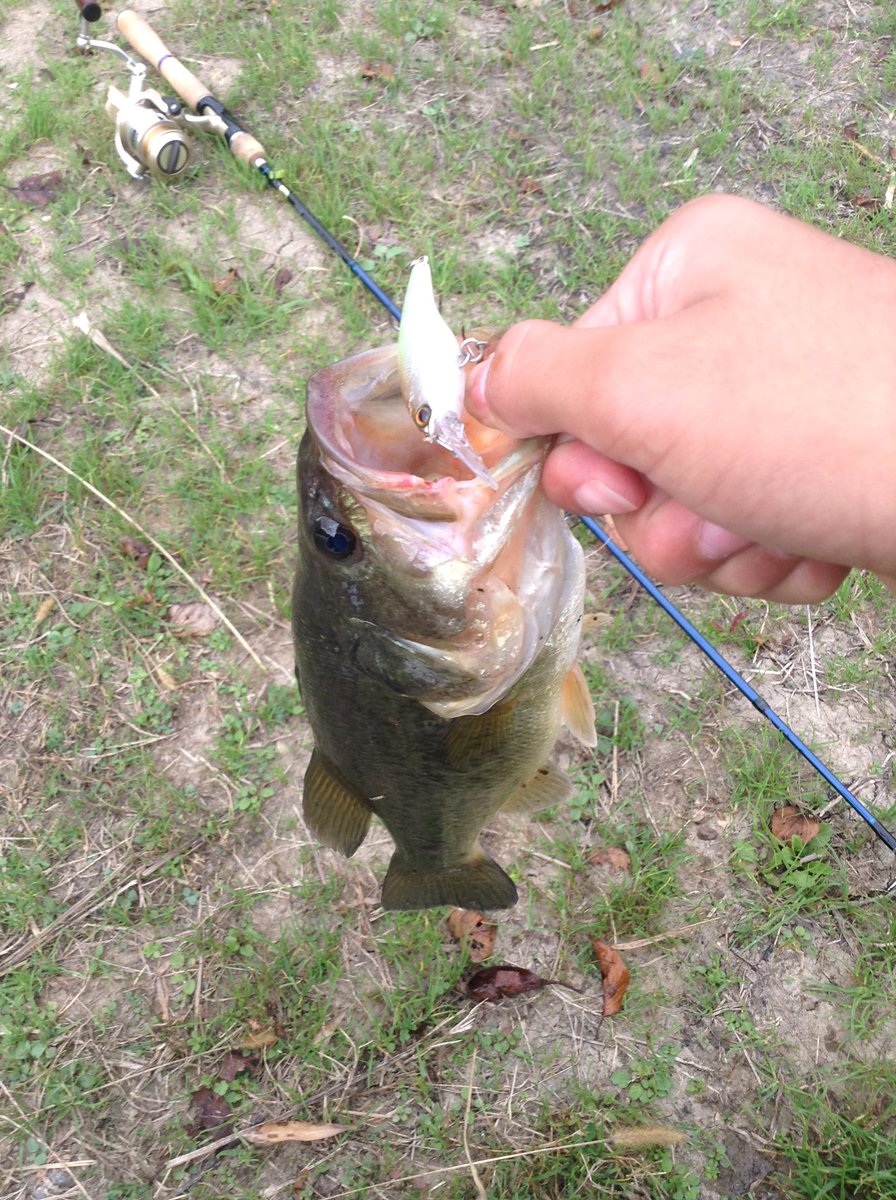 bbass_shoma's tweet image. フォロワーさん100人いったので、初めてのタグします。
RTお願いします！

#バス釣りしてる人RT
#兵庫県でバス釣りしてる人RT
#釣りしてる人RT
#RTした人全員フォローする