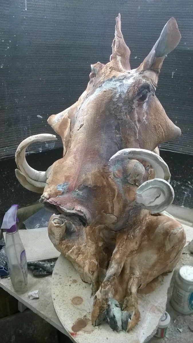 queequeg2's tweet photo. Our extremely popular Warthogs https://t.co/evw3JwjWMc