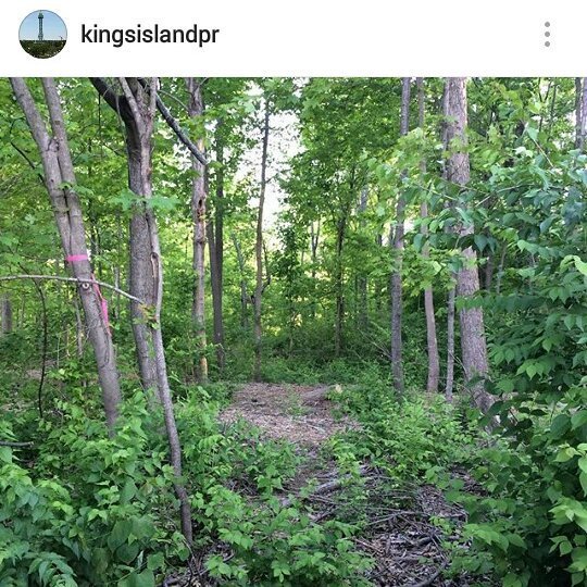 zeebardbaird's tweet image. @kingsislandpr, at it again with #ki2017 teasers.

Watch for falling trees.

#kingsisland ift.tt/1TW9Qff