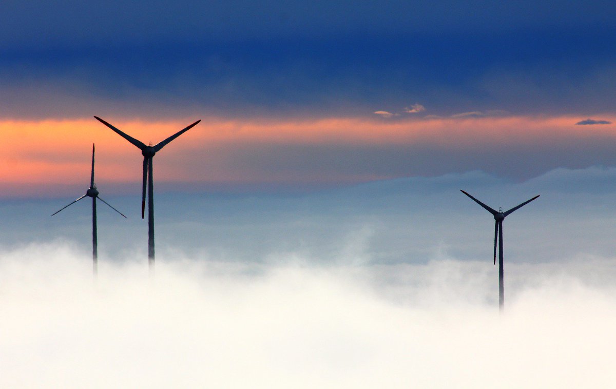 PBI_consulting's tweet photo. Understanding how #industry and business #ecosystems work is crucial for #policymaking https://t.co/6dxaRAy5dS https://t.co/oCHdlHsjZU