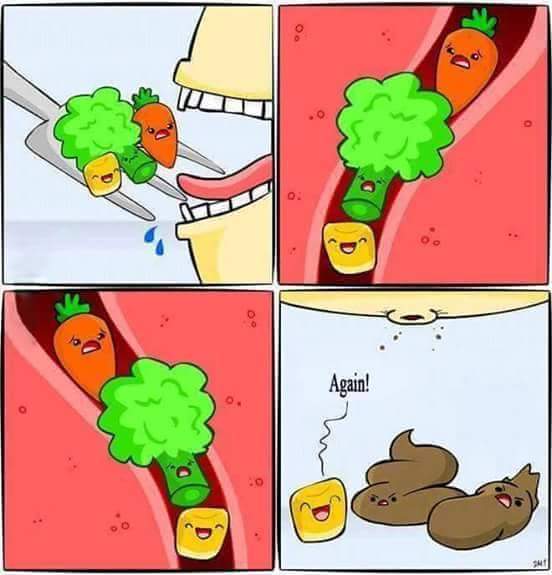 DavidN7SR3's tweet image. Damn be those sweetcorns! #daftstuff