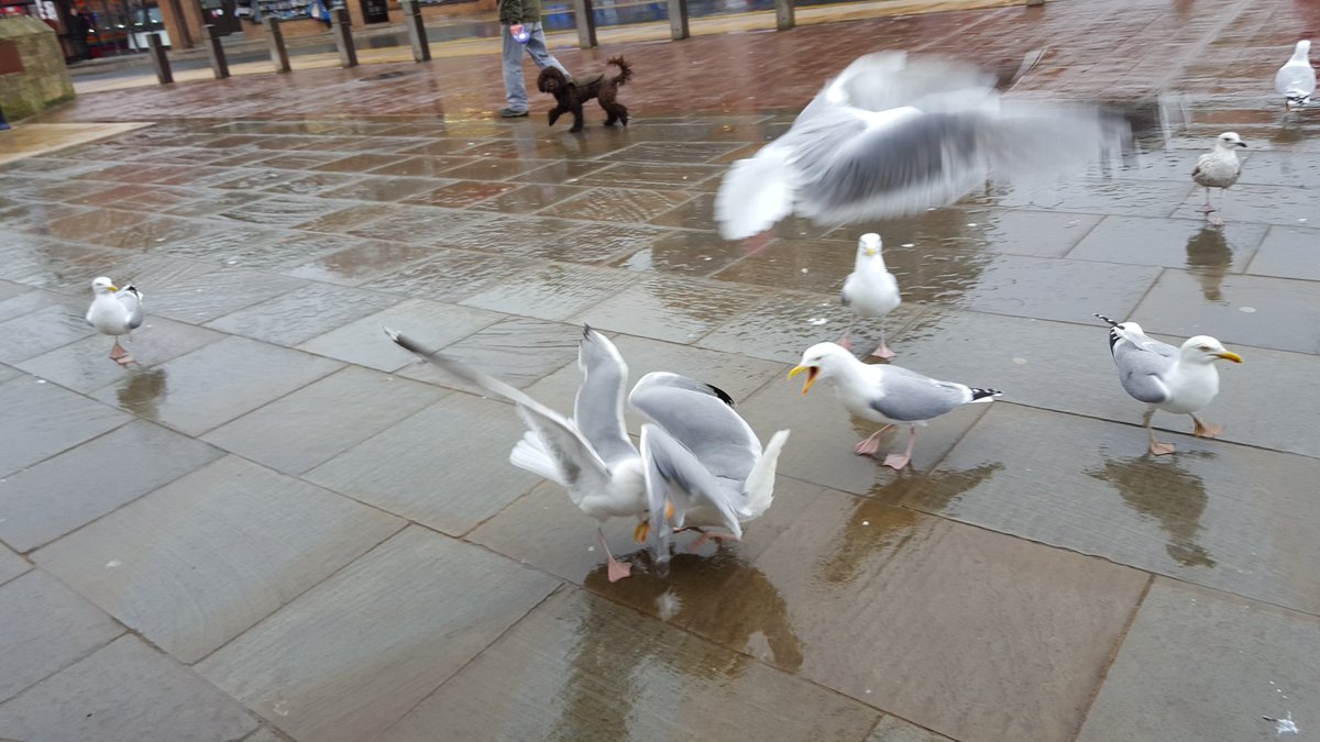 Richard Bonington tweet media