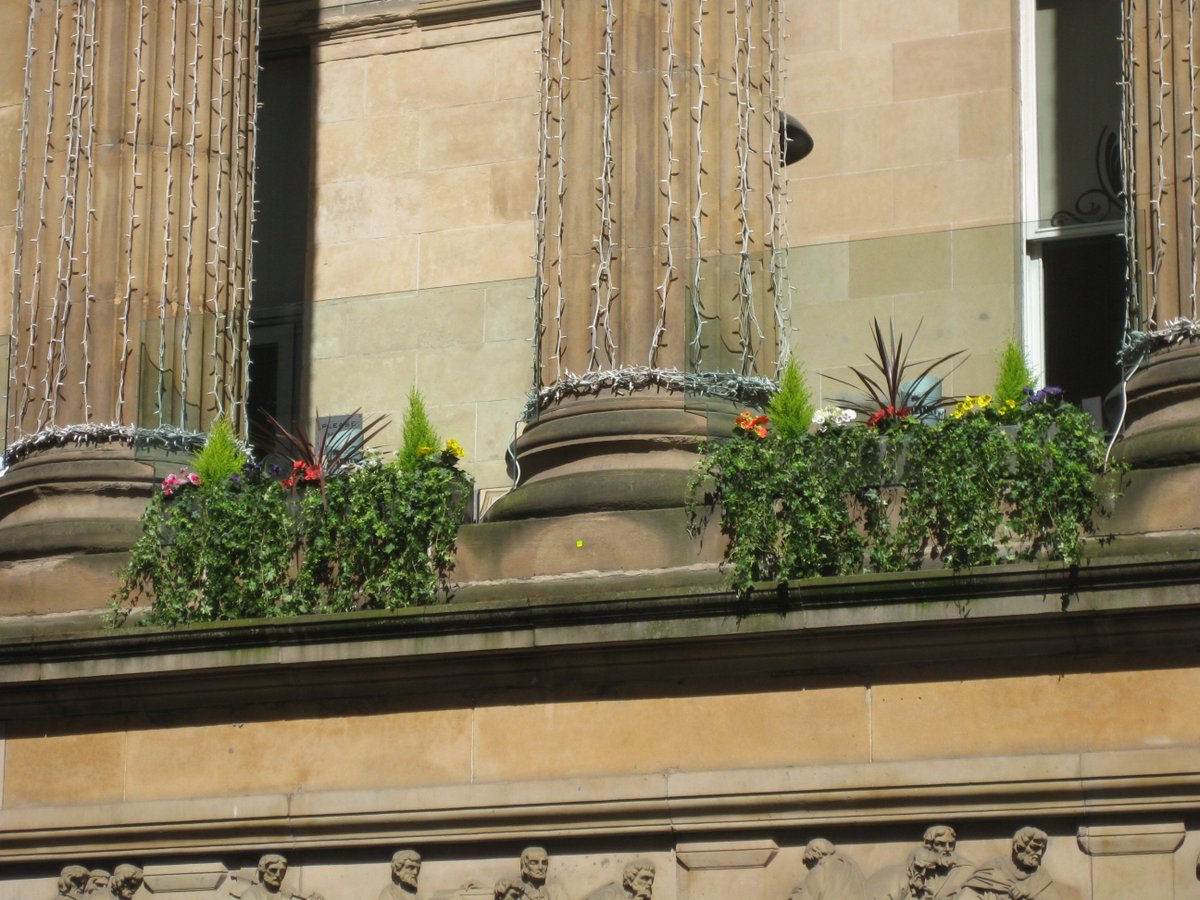 GPPlantscape's tweet photo. Check out our beautiful window boxes in Glasgow! #windowboxwednesdays https://t.co/cGf49wMCLZ