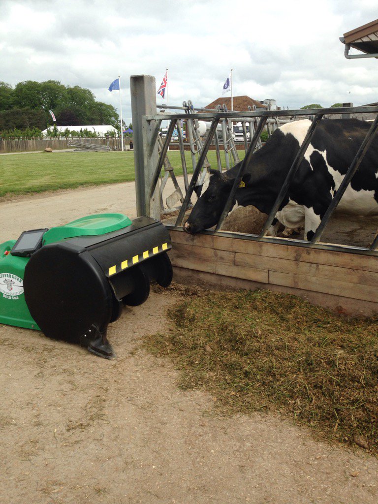 #cows at the #goldcup enjoying their Optigen and MycosorbA+ <a href="/AlltechUK/">Alltech UK</a>