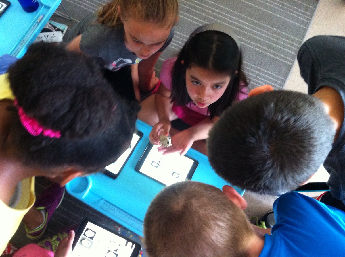 0kelly0's tweet photo. What type of skull did Mrs. Green find? #cottage life #handsonlearning #UDLclassroom #inquiry #LBPSB @StAnthonyElem https://t.co/BrIwnRnKqI