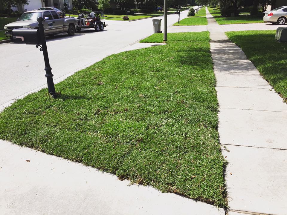 landscapegems's tweet photo. The quality of the job &amp; the quality of the sod make ALL the difference! Our customer is summer ready! #Sod #Orlando https://t.co/22HsbLtAs2
