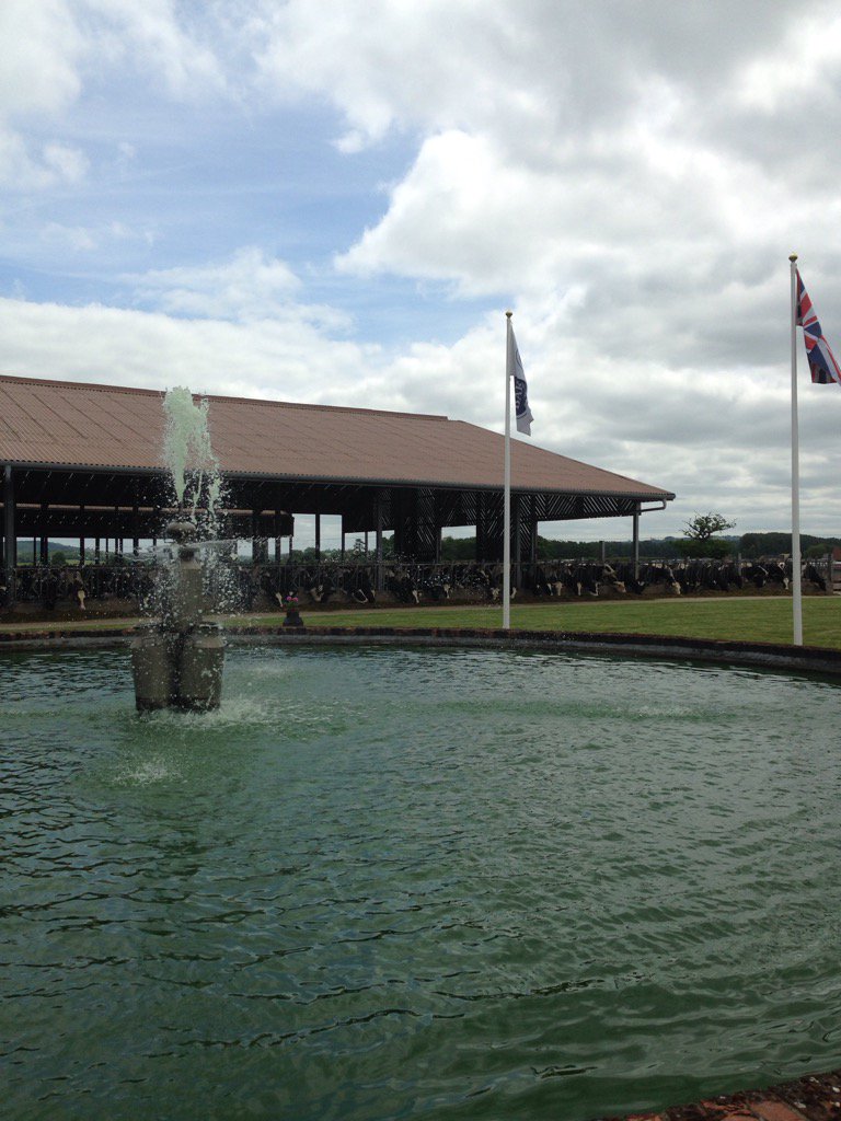 What a place #goldcup