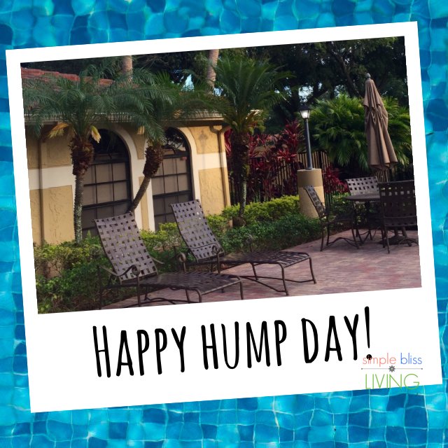 SimpleBlissMktg's tweet photo. #happy #simpleblissliving via https://t.co/ek94az0nzt https://t.co/PfambSlmNQ
