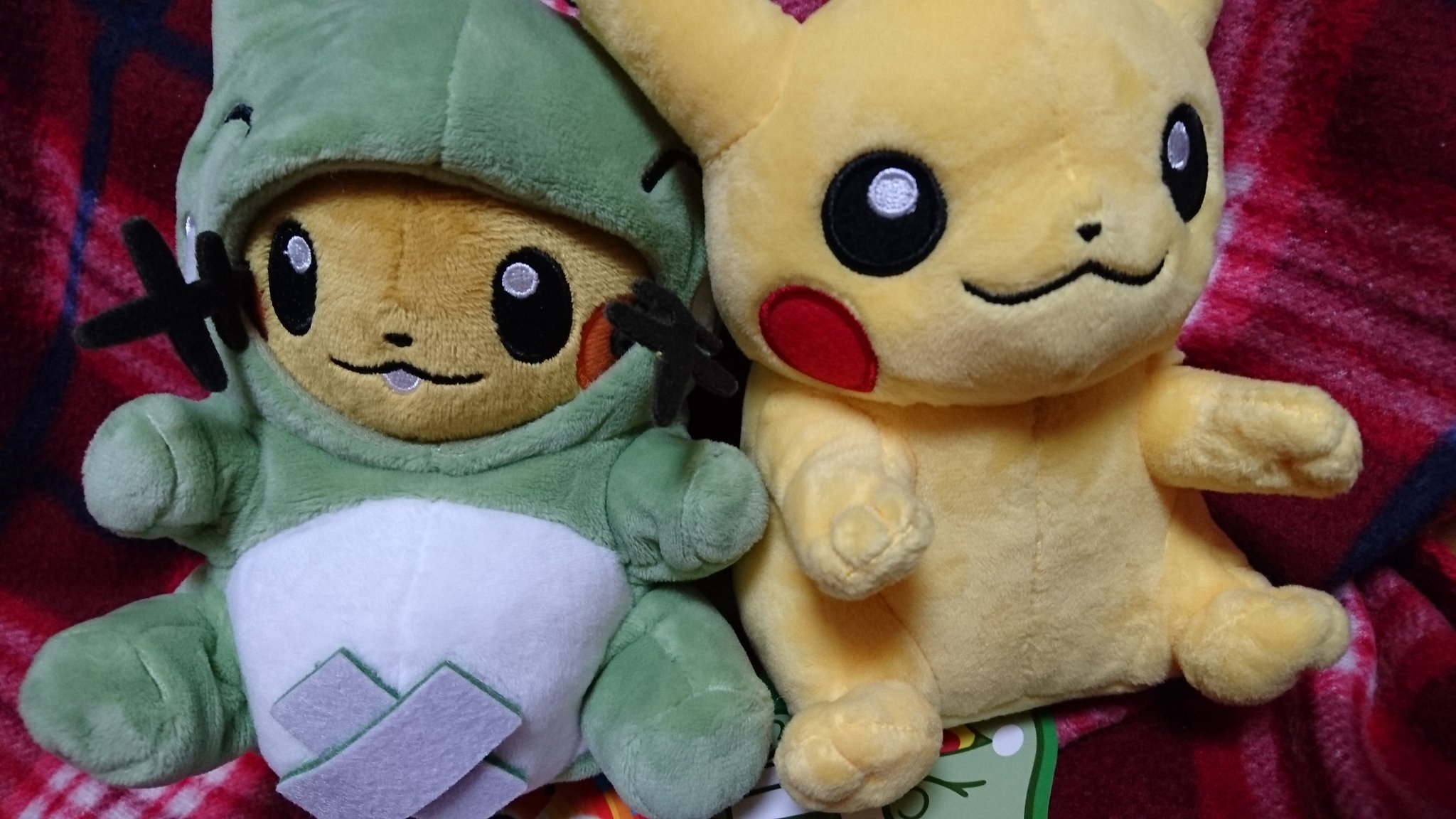 デデンネ溺愛録o W O 一番くじ発売中 身代わり人形に入ってみたンネ 可愛いンネ デデンネ 身代わり人形 ポケモンドール T Co Ofiyj3tgwr Twitter