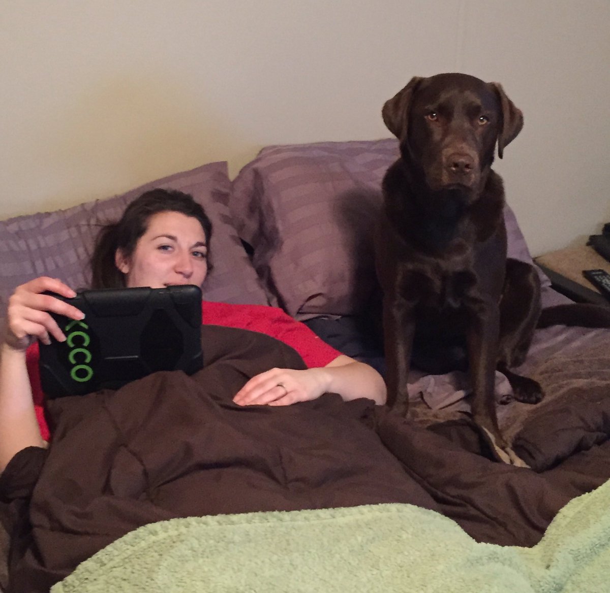 stantonkyle13's tweet photo. Well.....looks like I've been replaced. #dogsrule #humansdrool #bedtime https://t.co/CWrDEvlbS4