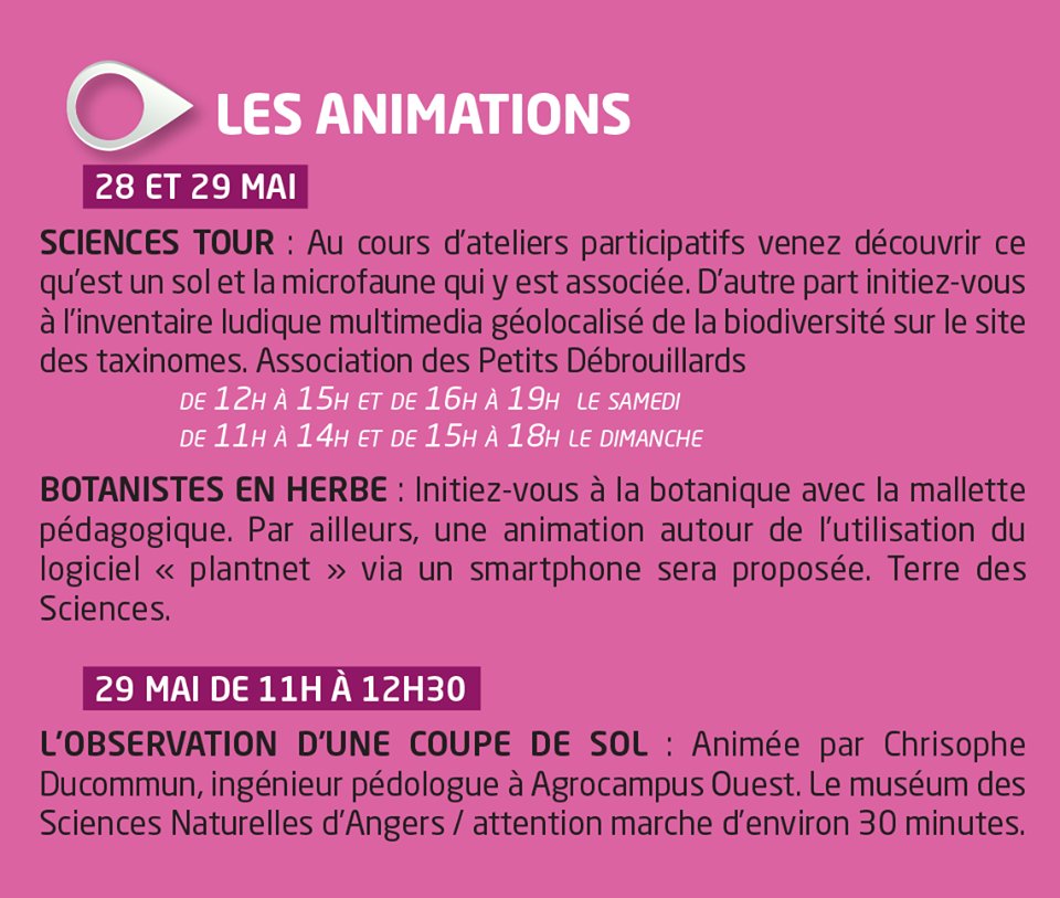 Angersdirect's tweet photo. Les différentes animations proposées par @Museum_Angers au #24bio #Angers : https://t.co/hATmEQe2PR https://t.co/o4M5eEP807