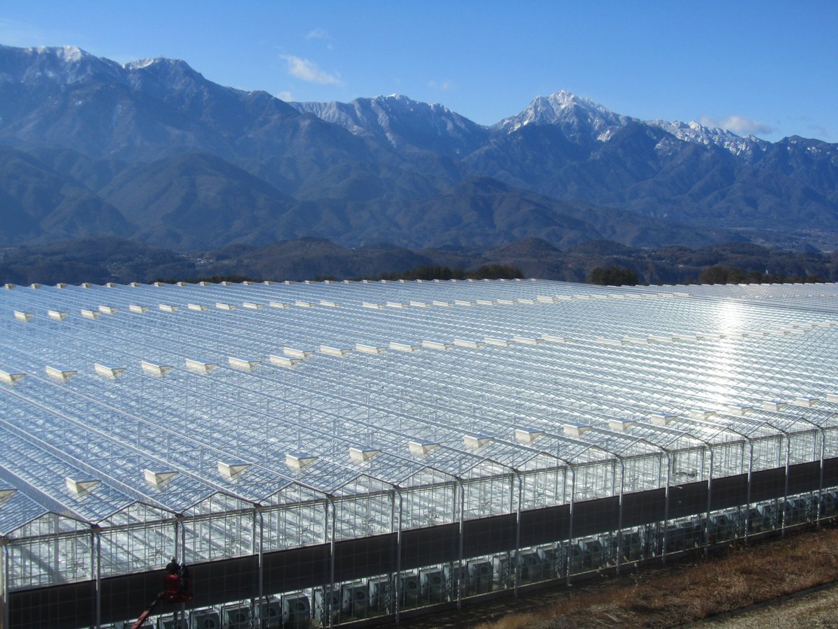 InGreenhouses's tweet photo. Japan’s biggest tomato producer #Kagome grows. @InGreenhouses focuses on revolutionary #greenhouse technology. https://t.co/dvT02TsQax