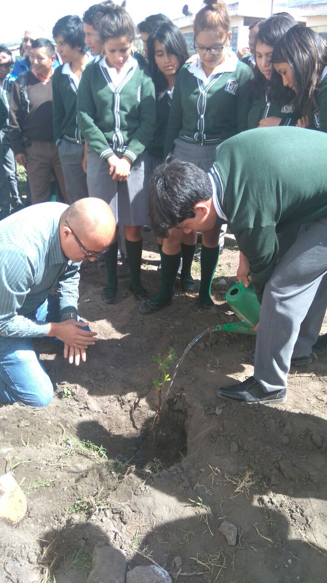EducacionZ2_Ec's tweet photo. Apadrinamiento Institución Educativa Cayambe, siembra de plantas nativas. #Distrito17D10 #ViveLaEducaciónEC https://t.co/hQlRdqZCCE