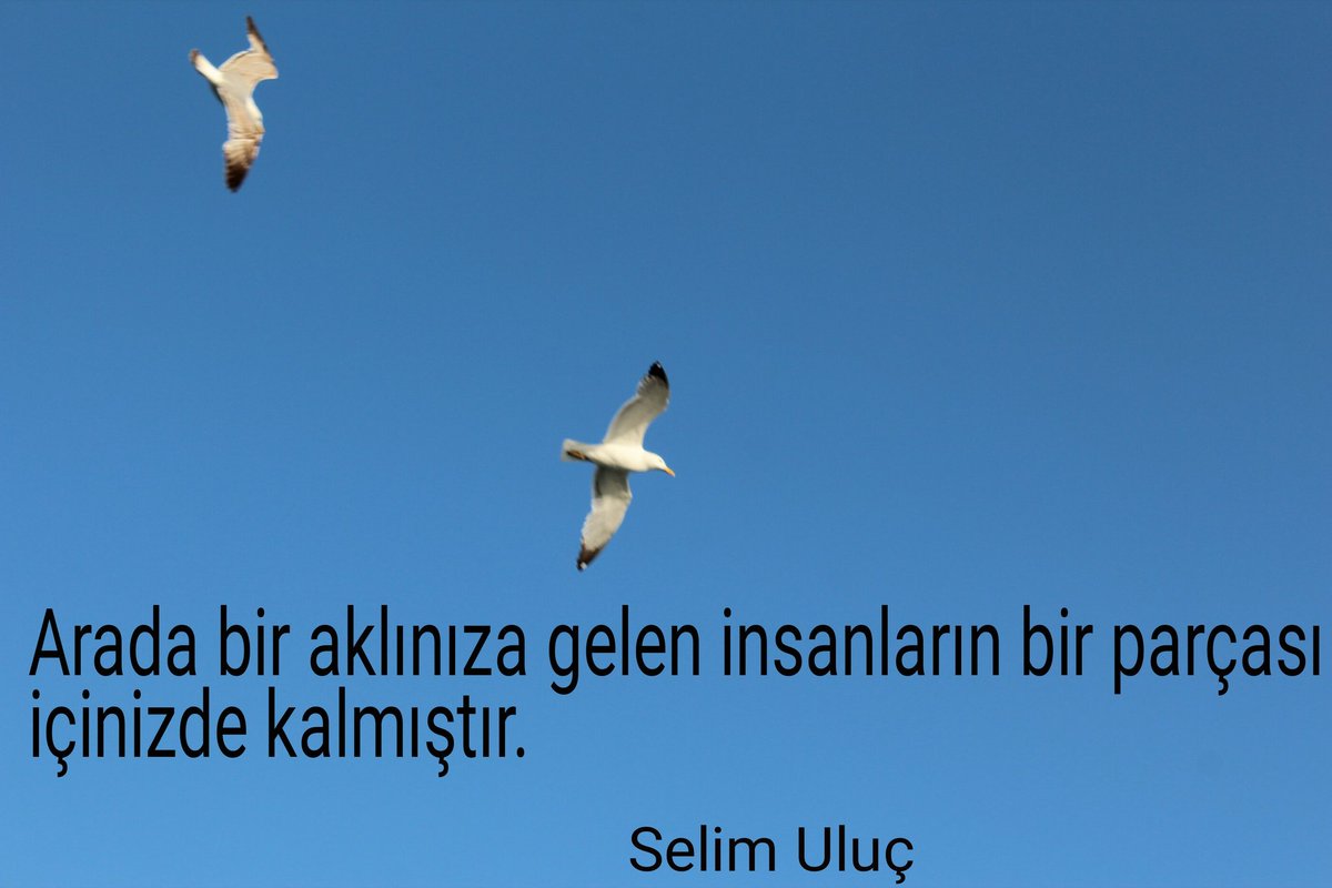 selimeank's tweet photo. https://t.co/u2JfGzQwQN