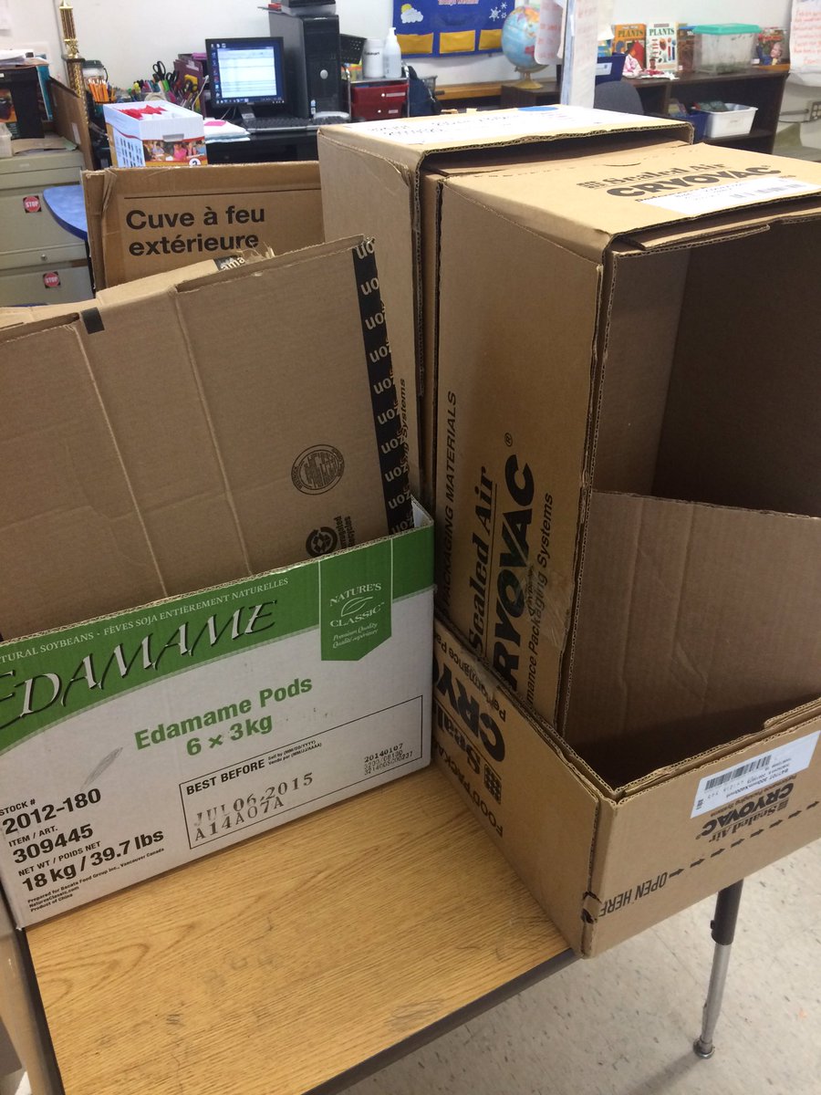 JuliaJestadt's tweet photo. What can we create with a cardboard box? Inspired by "Not A Box" and Caine's Arcade. #StrWSD https://t.co/79NQCmX4c8