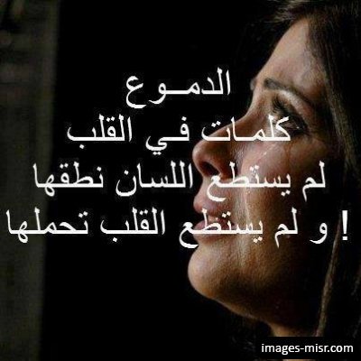 ftfI4WHcT0VmXrZ's tweet photo. https://t.co/c4CT5j9GF1