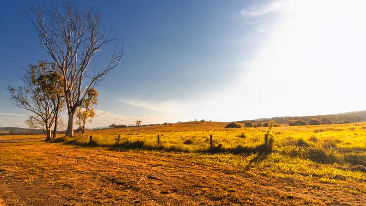 SkyNews's tweet image. Australian man who kidnapped, drugged, tied up and raped German backpacker has been jailed trib.al/o794ntR