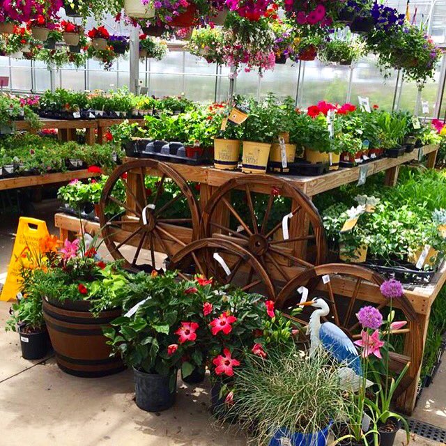 LoopRewardsInc's tweet image. Today we&apos;re giving away a $25 gift card to Binghamton Agway! Use your Loop today (5/25) to be entered to win!