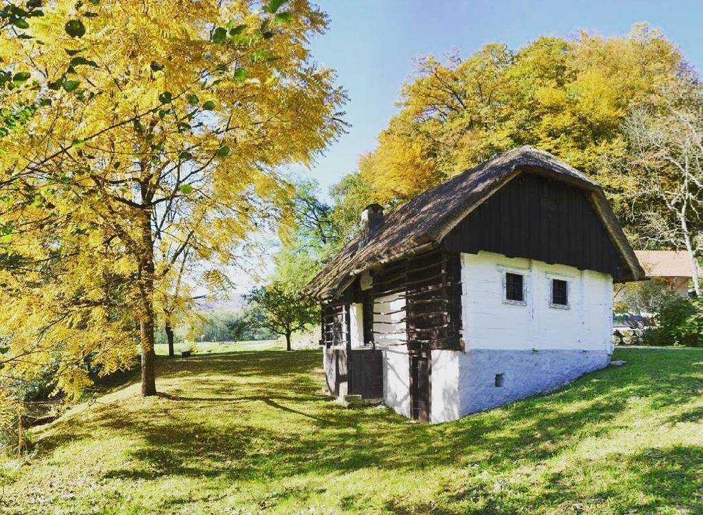 GeaGoSi's tweet photo. Kolarjeva domačija🏡 #kolarjevadomacija #kozjansko #slovenija #geago #slovenia #hisa #house… https://t.co/8m13yBnQ2f https://t.co/lTeyzf8XbD