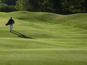 EIGCA ⛳️ tweet media