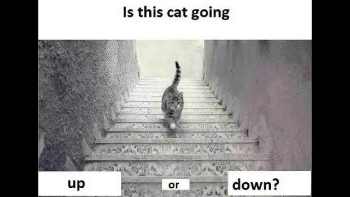 Specs_For_Less's tweet image. #UporDown?