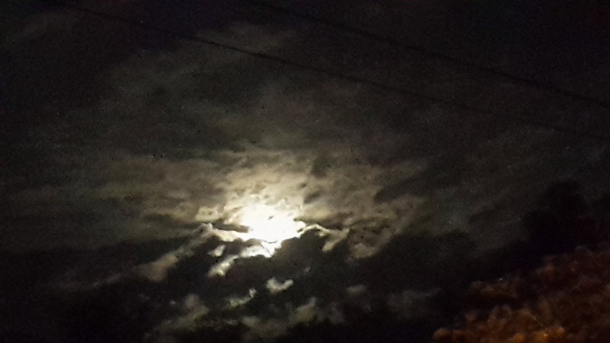 djmillerJA's tweet photo. #TuesdayScenes #Moonrise #EvenThoughItsWednesday @clarkecooper @CaroleBeckford @jahmekyagyal @DahliaHarris https://t.co/3RirLPCo4y