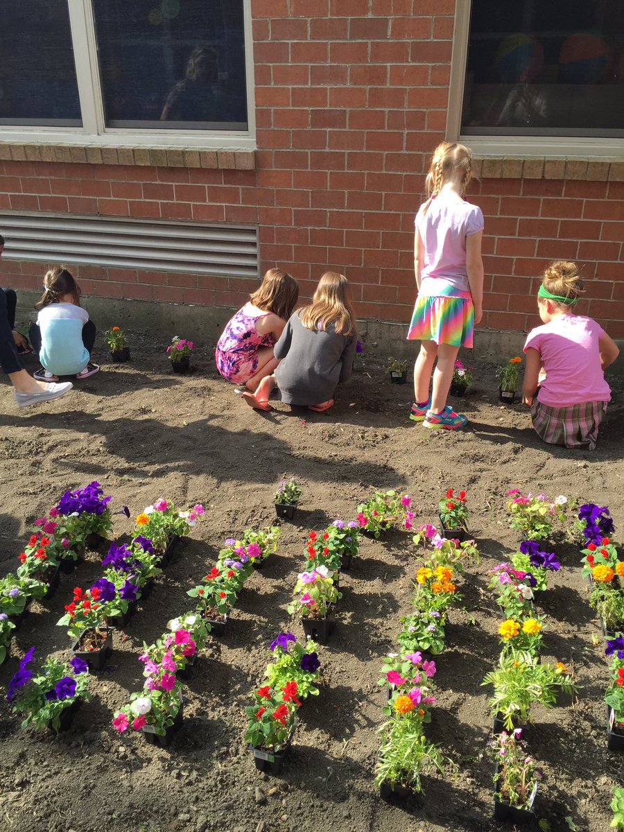 Kindergarten plants flowers with the third graders for Character Counts. :)