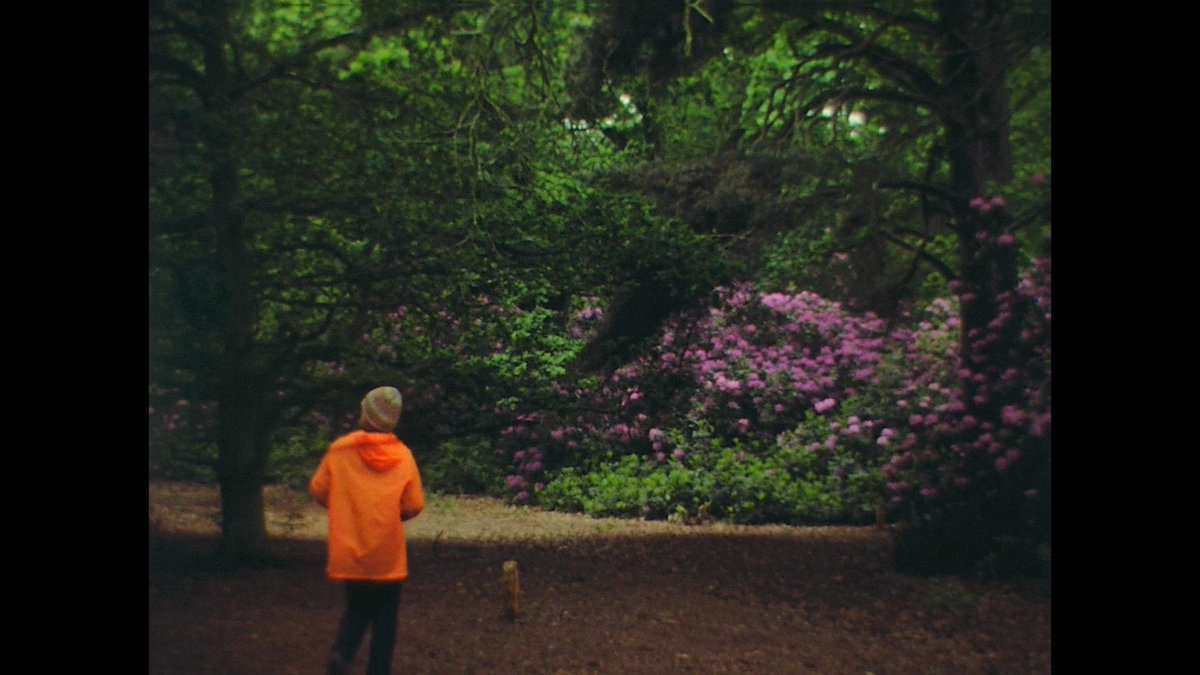 FilmRoomUK's tweet photo. A woman explores the #forest for an #adventure - #8mmfilm #hdfilmscanning #colour #flowers #spring https://t.co/EayuSifIsQ