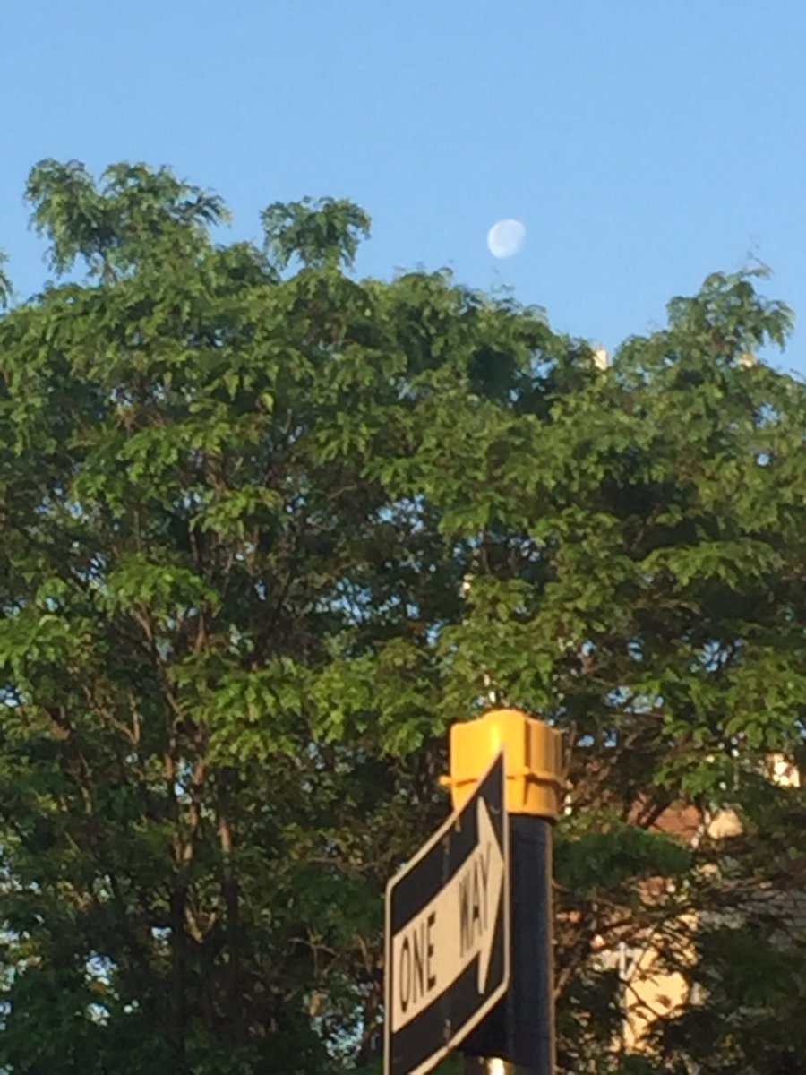romanbarroso's tweet image. One way #moon behind the greens #fromridgewood #skyobservers #aaa.org