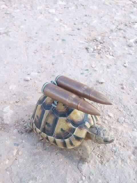 علي٠٥٦٩٤٣٣٧٦٧ (@k667788kk) on Twitter photo 