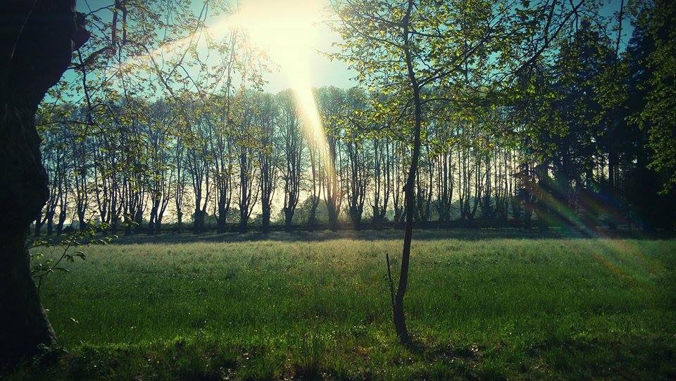 PianoLaRoque's tweet photo. La billetterie #FIPLaRoque ouvre demain à 9h #26mai !
Retrouvez #Programmation2016 sur https://t.co/FvatYh1ael https://t.co/L4ZpzvzURI