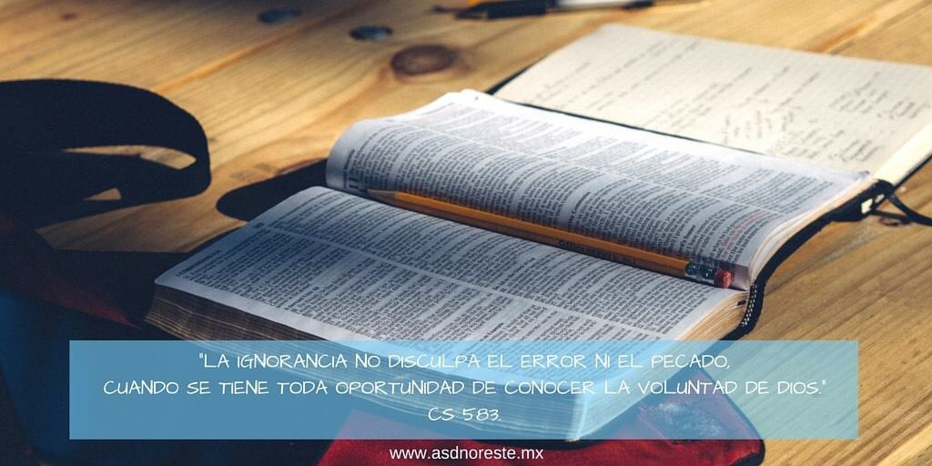 ASD Noreste tweet media