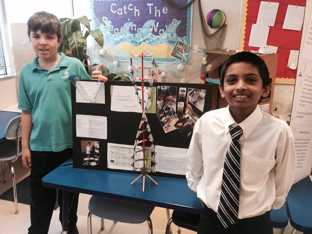 BISCLPYear5's tweet image. Science fair - we&apos;re ready for you, judges! #welovescience #proudplatypuses #BeambitiousNAE @BISCLPSpecs