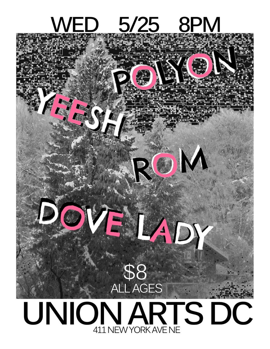 polyonmusic's tweet image. Tonight! 🚀 @Buddyjams @thisareROM @UnionArtsDC #dovelady