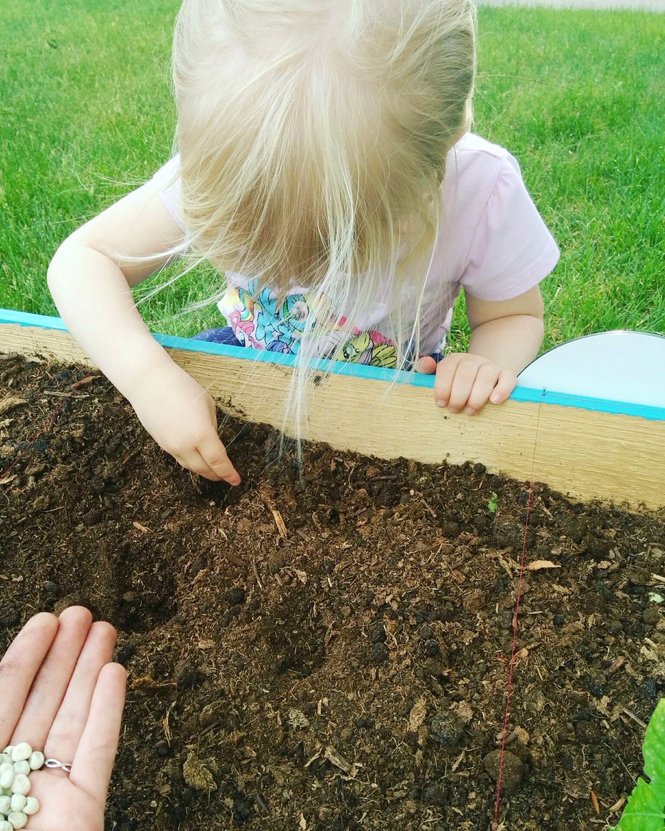lilfreegarden's tweet photo. #LittleFreeGarden no. 18 has officially been planted - by a very serious little gardener. 😃🌱 🍅 #fmuglyfood https://t.co/B10U3H8Yeu