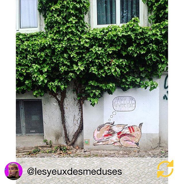 StArtEverywhere's tweet photo. Thanks to @lesyeuxdesmeduses! #duerftig #samcrew #hkdns #denkduerftig #oderbergerstrasse #prenzlauerberg #berlin … https://t.co/lHLe5diN6c
