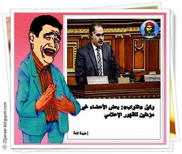   سليمان وهدان وكيل المجلس بعض اعضاء مجلس الشعب غير مؤهلين للظهور الإعلامي
