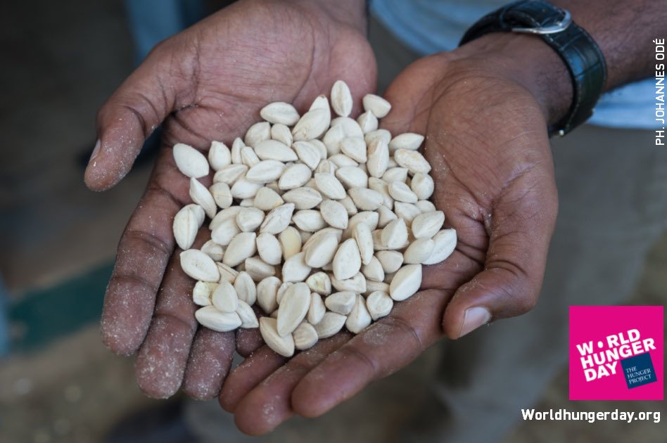 WorldHungerDay's tweet photo. Did you know: #Hunger kills more people than AIDS, malaria and tuberculosis COMBINED. #WorldHungerDay May28 https://t.co/q0sot4nY0P