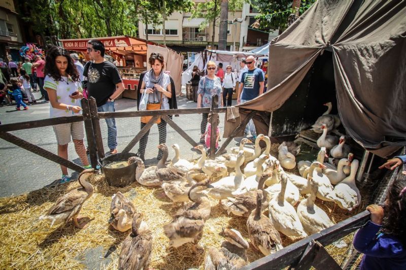 La Fira de Sant Ponç, alimentació i artesania aquest cap de setmana a #Castelldefels:
elcastell.org/ca/index/11119…