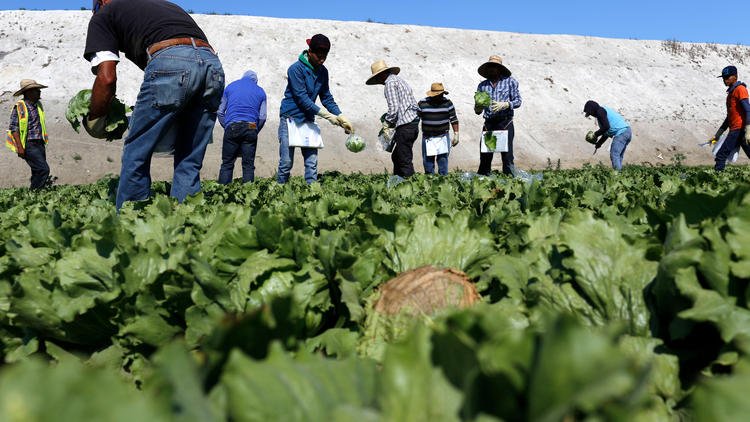 CivilEats's tweet photo. Farmworkers are treated unfairly in California. Sacramento has a chance to right that wrong https://t.co/mUPha5ztx6 https://t.co/61gtk7y062