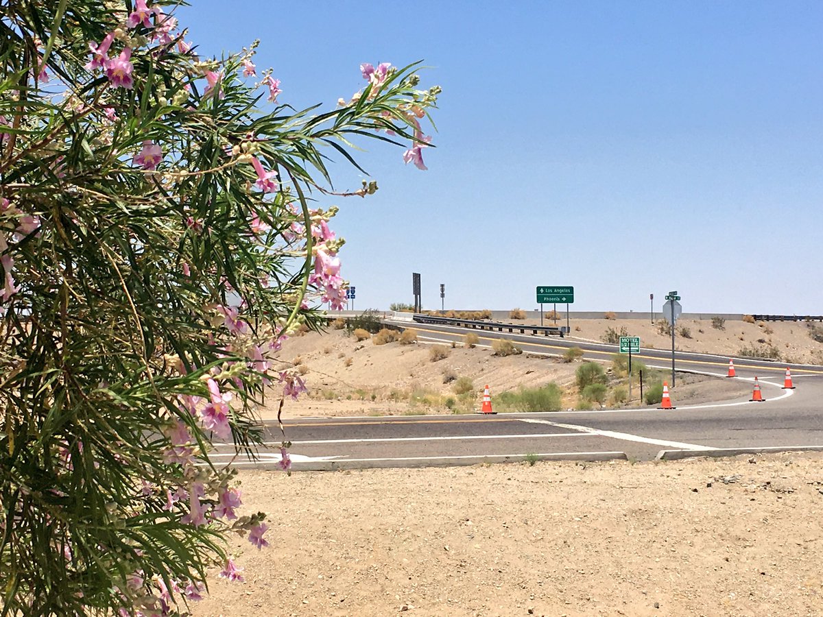 dannybavaro's tweet photo. It's 84Β° and slightly breezy in #Quartzsite, Arizona. Is #Quartzsite trending on Twitter yet? #abc15 #abcwx https://t.co/xIHa0V1A1D