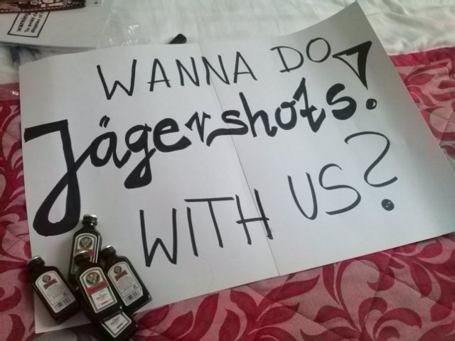 theCharlize's tweet photo. @charliesimo @mattjwillis @JamesBourne @Busted wanna do Jägershots with @MaryundDean and me tonight? #PigsCanFlyTour https://t.co/JEQAq1Z5d8