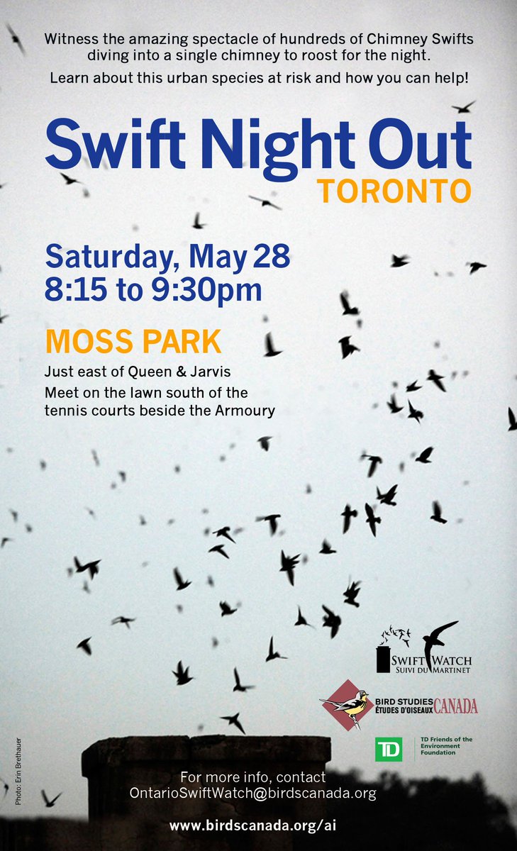 Volunteer4Birds's tweet image. Join @BirdStudiesCan May 28 at #MossPark for a wildlife spectacle few see! #SwiftWatch birdscanada.org/ai