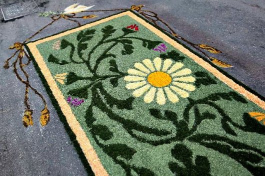 Infiorata di Spello flower carpets 28 and 29 May #flowerscarpet #blossom #spring #spello #umbria #italy #holiday