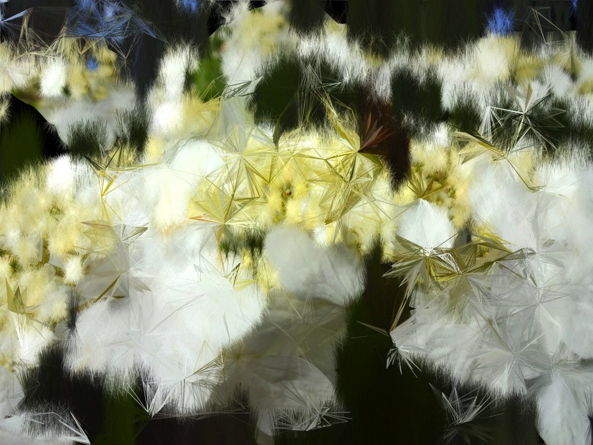 dantappersound's tweet image. How does nature inspire your digital work #CreativeCodeChat images @visualcodepoems