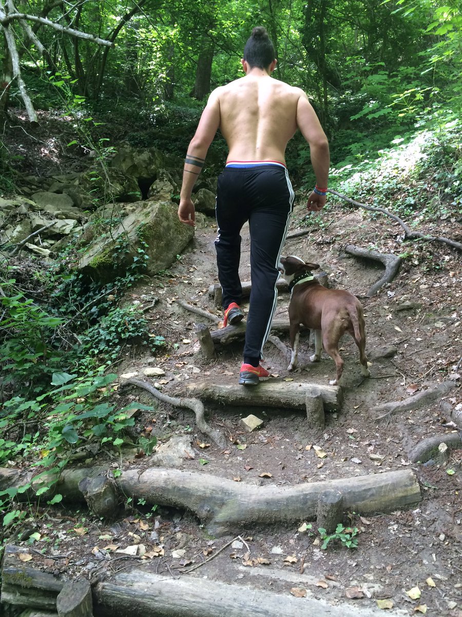 Daniel__Sola's tweet photo. Mountain 🐶💪🏻🏔 #pregym https://t.co/HcantqIRTM